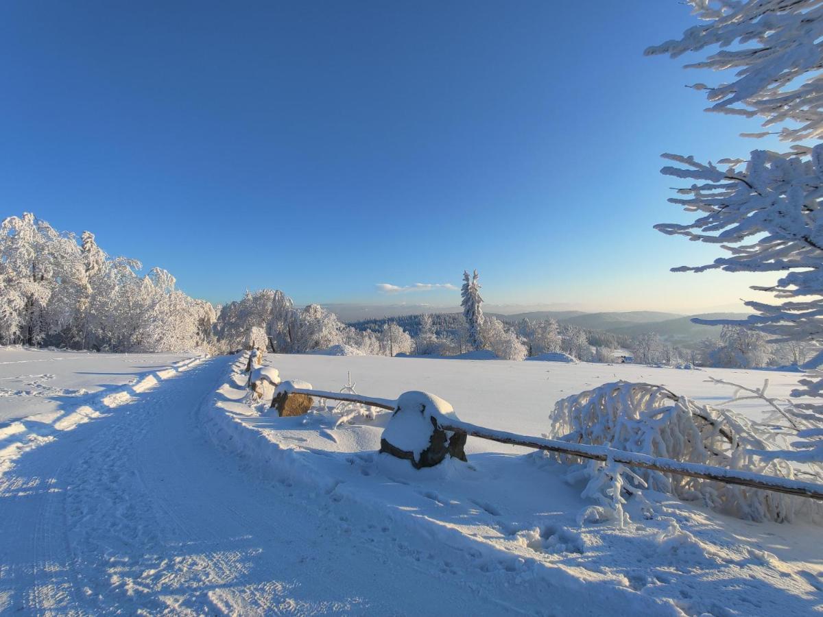 Wrzosowy Dwor - Spa Skomielna Czarna Luaran gambar