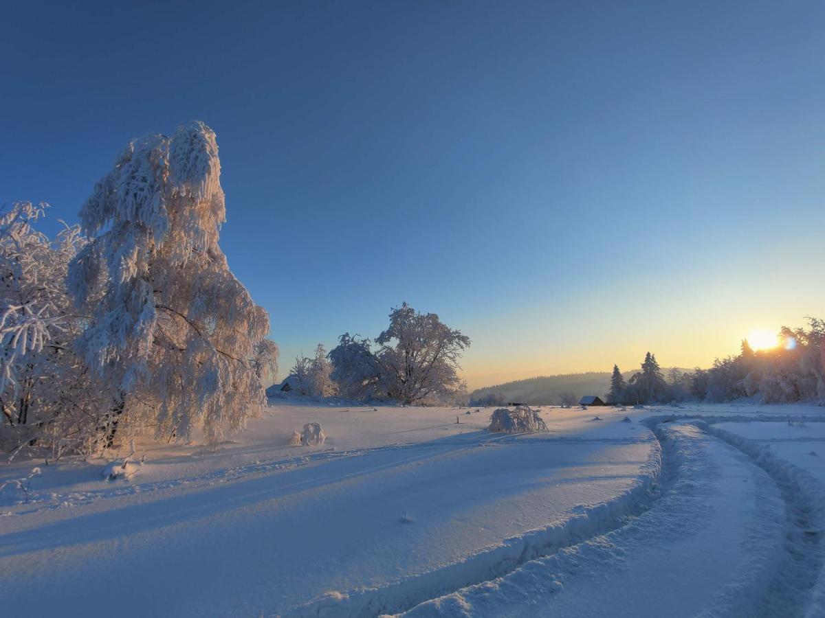 Wrzosowy Dwor - Spa Skomielna Czarna Luaran gambar